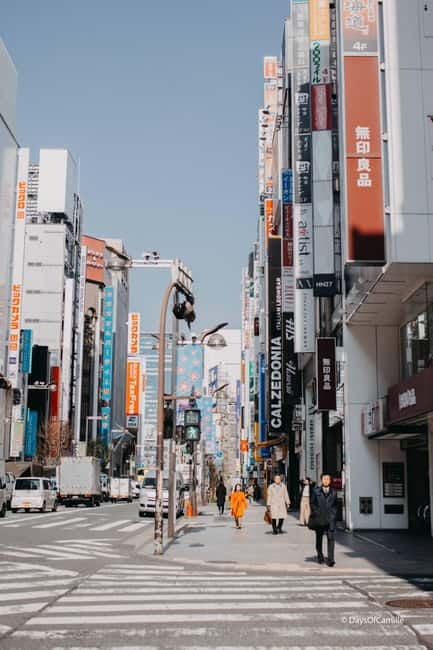 Tokyo, half day : private tour with an expert ! - A useful first look at Tokyo in four hours