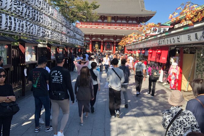 Tokyo Half Walking Day Tour with a Local Expert Guide - Shibuya Crossing and the first view of modern Tokyo