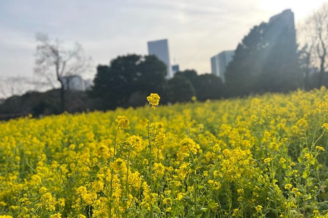 Tokyo: Hama-rikyu Gardens tour with Japanese Tea & Sweets - Meeting at Otemon Bridge and Getting Oriented