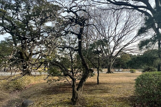 Tokyo: Hama-rikyu Gardens tour with Japanese Tea & Sweets - Timing Your Visit for the Best Garden Views