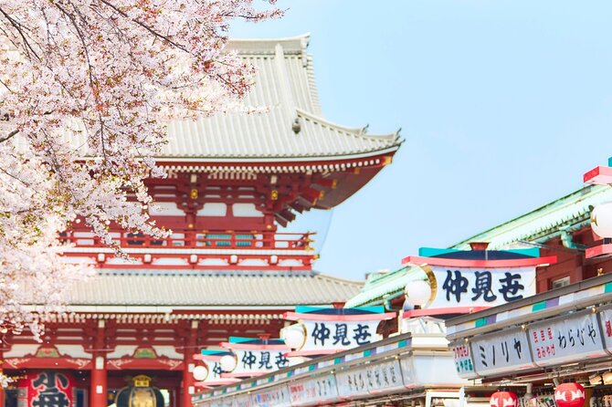 Tokyo : Hand-Roll Sushi Class, Skytree view & Asakusa Tour - Why this Tokyo combination works