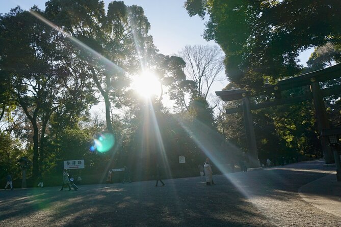 Tokyo: Harajuku Meiji Shrine to Shibuya Crossing Guided Tour - Who will enjoy this Harajuku walk