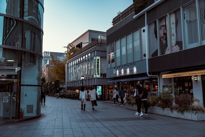 Tokyo Harajuku Walking Tour Meiji Jingu Yoyogi Park and More - Why this Harajuku route works