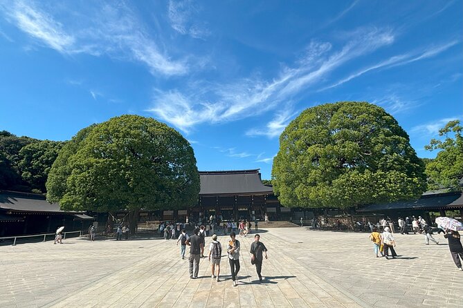 Tokyo Harajuku Walking Tour Meiji Jingu Yoyogi Park and More - Who will get the most from this walk