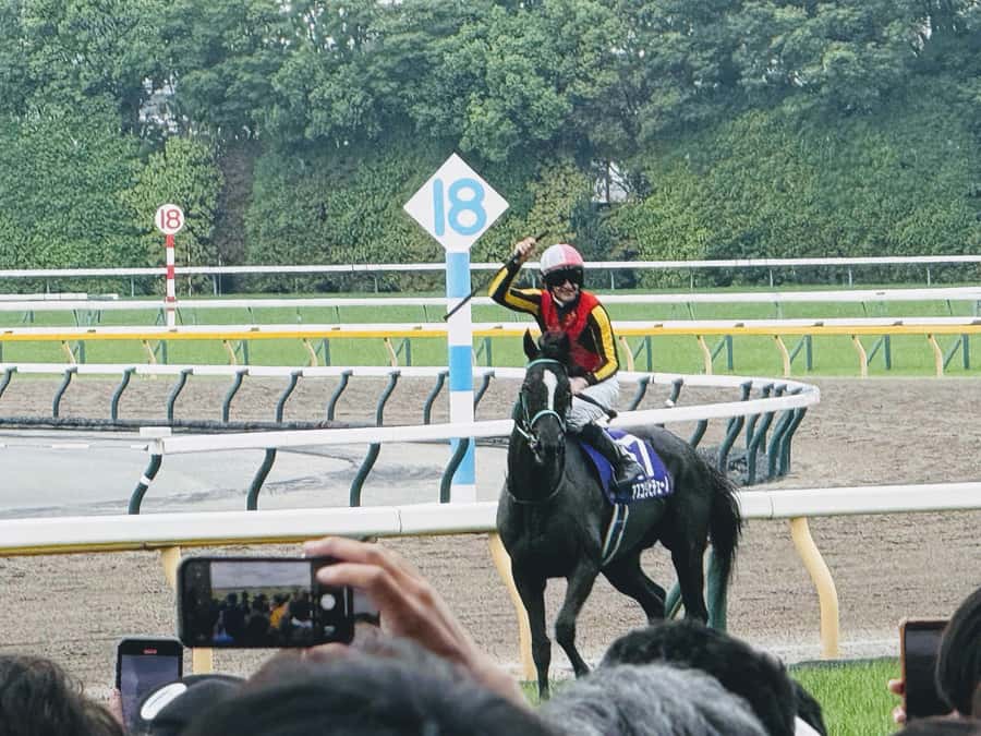 Tokyo: Horse Racing Tour with Local Fan - Learning Japanese Betting Without Guessing