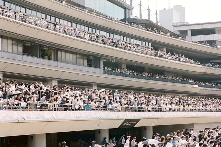 Tokyo: Horse Racing Tour with Local Fan - Food, Drinks, and the Racecourse Meal