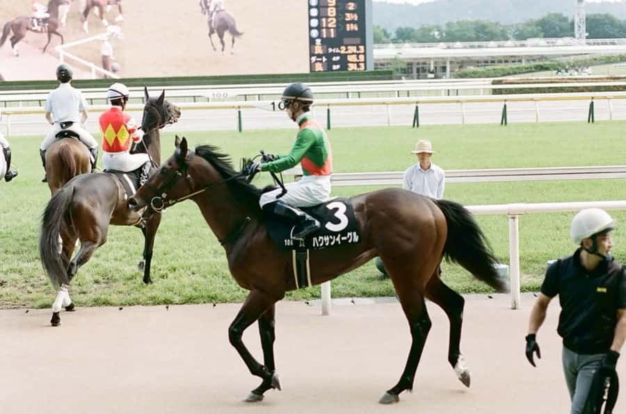 Tokyo: Horse Racing Tour with Local Fan - What the $60 Tour Price Really Buys