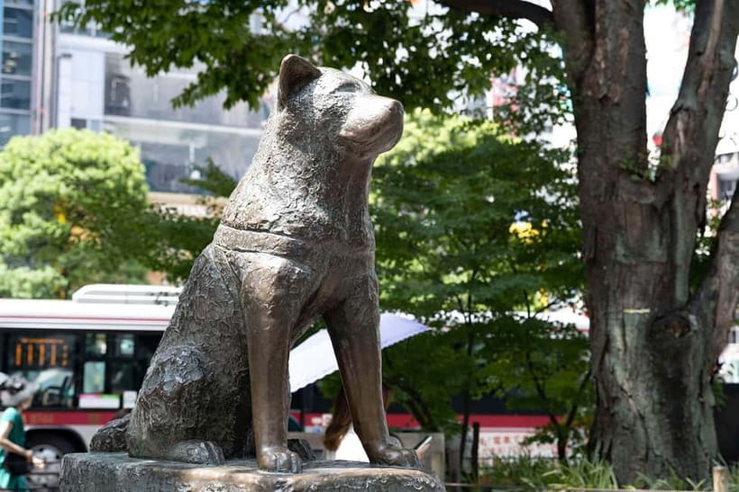 Tokyo: Iconic City Tour – Skytree, Shibuya & Imperial Palace - The Imperial Palace brings a quiet pause