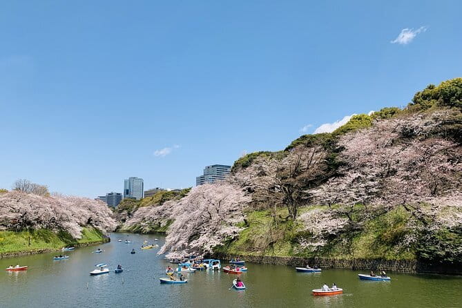 Tokyo Imperial Palace and Heritage of Edo Castle Private Tour - The guides and the style of explanation