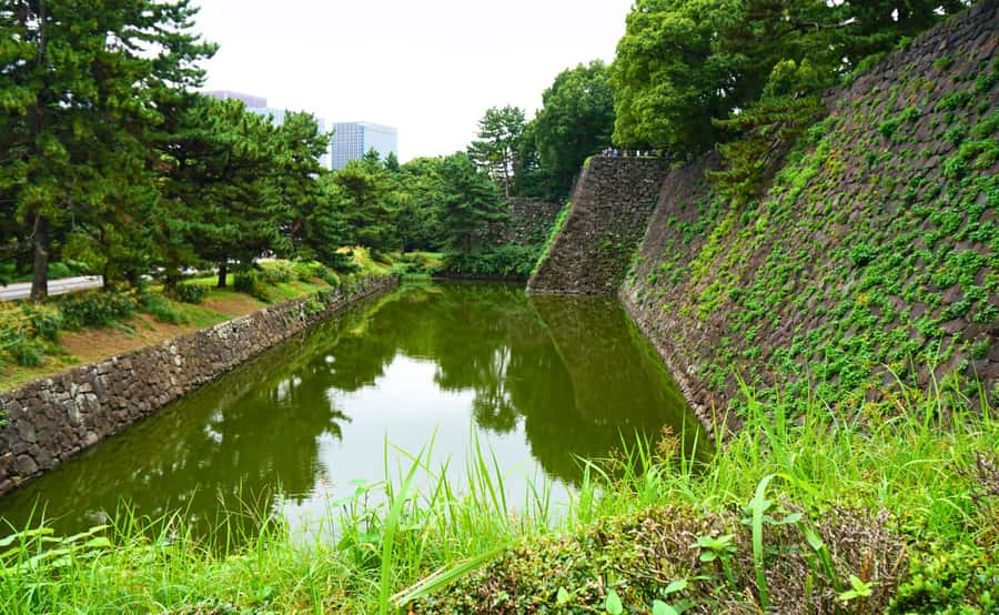 Tokyo: Imperial Palace, the history of Japan (ENGLISH GUIDE) - Is $40 a fair price?