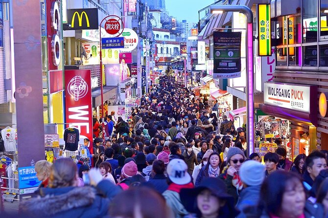 Tokyo in a Day : Private Tour to Shrine, Temples, Towers &Culture - Akihabara, Tokyo’s electric and anime district