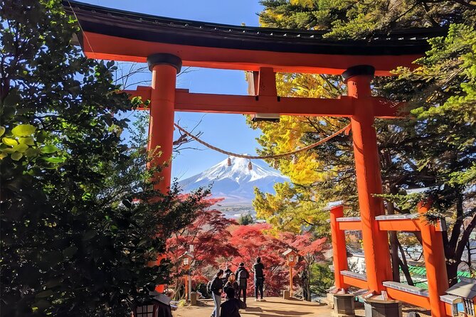 Tokyo: Instagram-Worthy Mt Fuji & Lake Kawaguchiko Day Trip - Hikawa Clock Shop and the changing spring plan