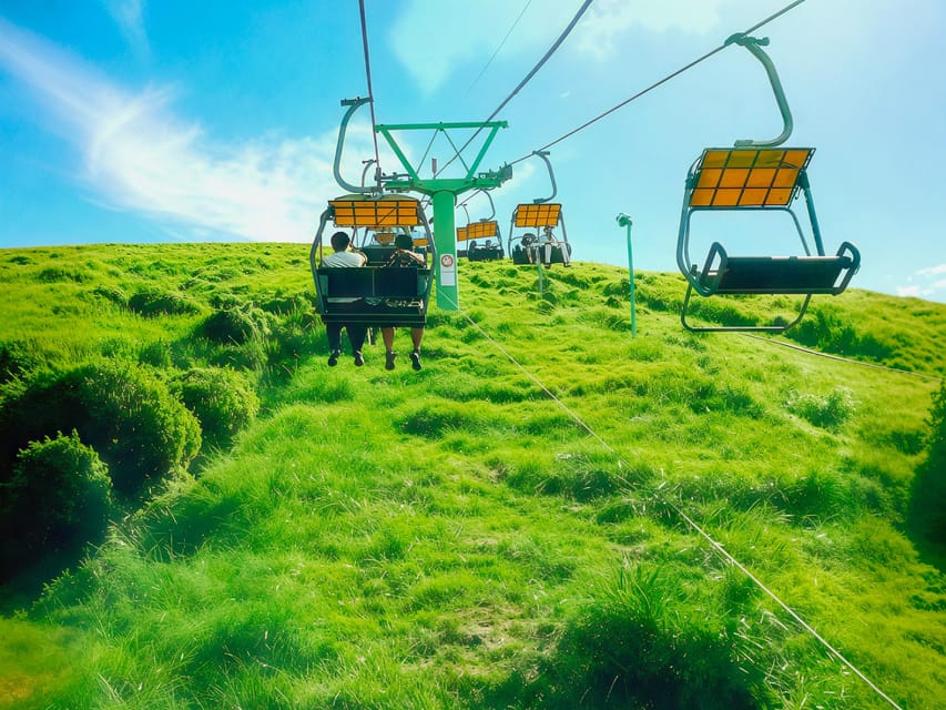 Tokyo:Izu Penisula Train Mt Omuro, Capybara Sightseeing Trip - Is $87 a good value?
