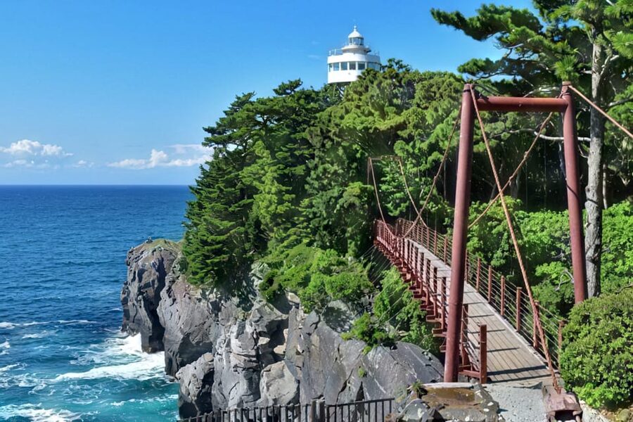 Tokyo:Izu Penisula Train Mt Omuro, Capybara Sightseeing Trip - Should you book it?