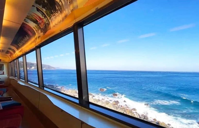 Tokyo: Izu Scenic Oceanview Train, Volcano, Coast Day Trip - Key points to know before booking