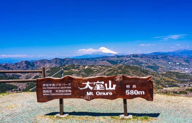Tokyo: Izu Scenic Oceanview Train, Volcano, Coast Day Trip - Jogasaki Coast and the Kadowaki Suspension Bridge