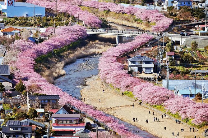 Tokyo-Izu: Volcano, Ocean& Capybara Cuddle with Izu Scenic Train - A Tokyo day trip built around one big choice