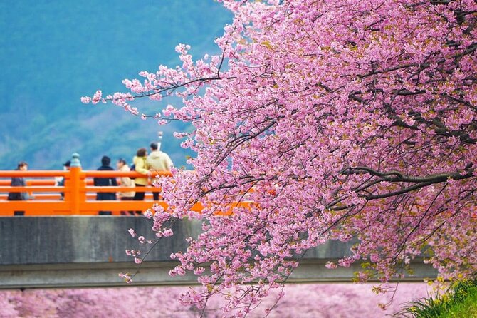 Tokyo-Izu: Volcano, Ocean& Capybara Cuddle with Izu Scenic Train - Jogasaki Coast gives you a short taste of Izu