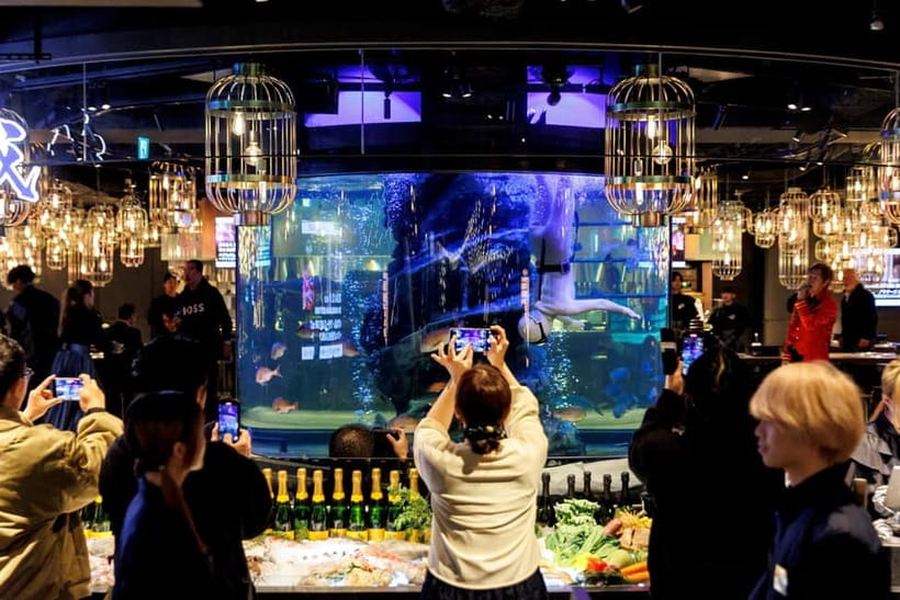 Tokyo: Japanese Experiece Dinner with Diving Ama Performance - The aquarium atmosphere, useful but not quiet