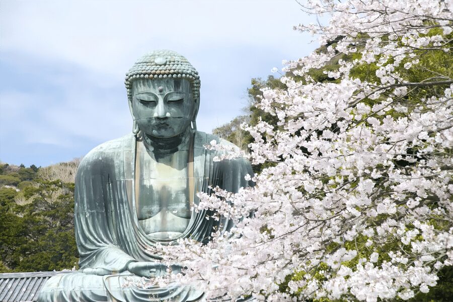 Tokyo: Kamakura & Enoshima Day Tour with Pickup & Train Ride - Riding the Enoden along the Shonan coast