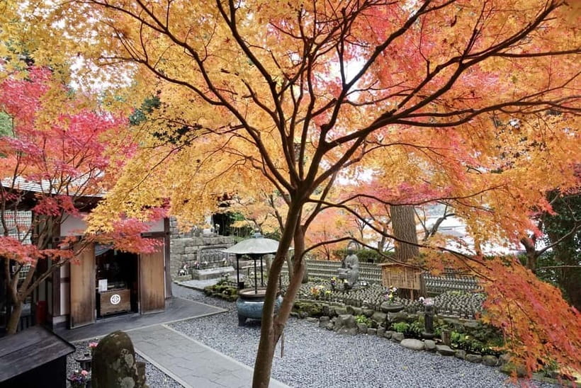 Tokyo: Kamakura & Enoshima Day Trip including Temple Tickets - Why this Kamakura and Enoshima day works