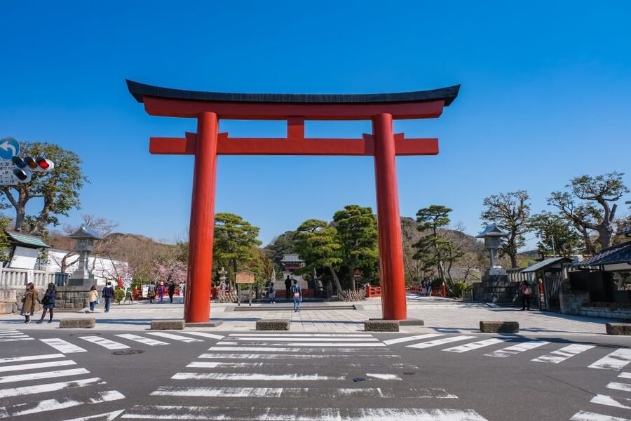 Tokyo: Kamakura & Enoshima Day Trip including Temple Tickets - Hasedera, flowers and a view across Sagami Bay