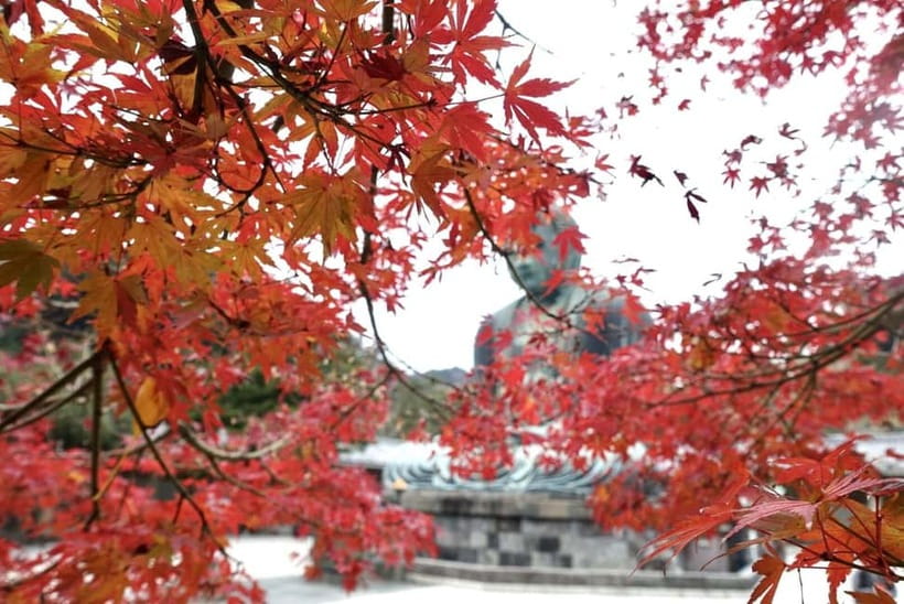 Tokyo: Kamakura & Enoshima Day Trip including Temple Tickets - Enoshima Sea Candle and Samuel Cocking Garden