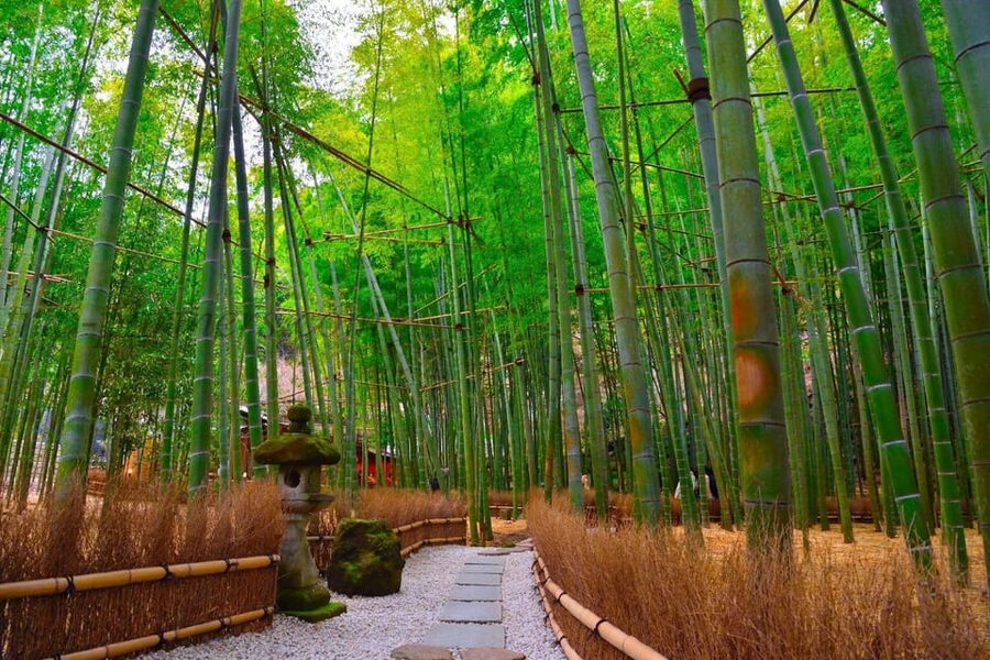 Tokyo: Kamakura Private Tour With Guide - What the guiding arrangement feels like