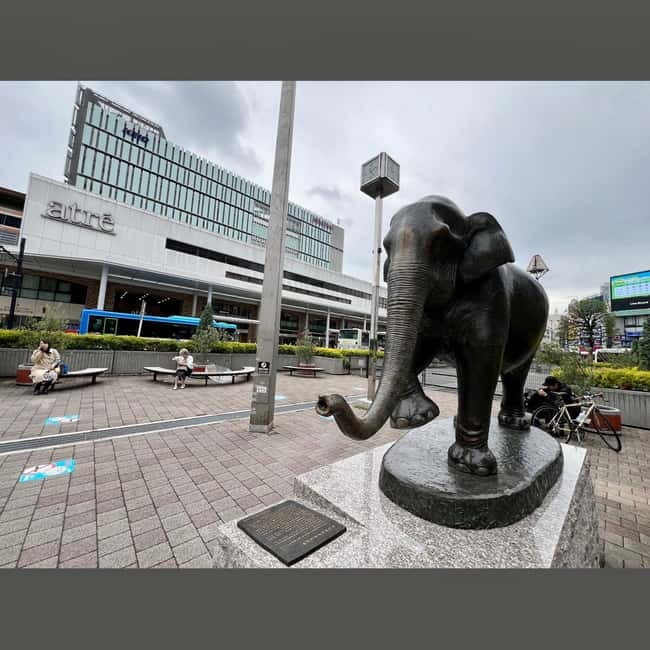 Tokyo: Kichijoji Walking Tour with Local Guide - Why Kichijoji makes a good Tokyo half-day