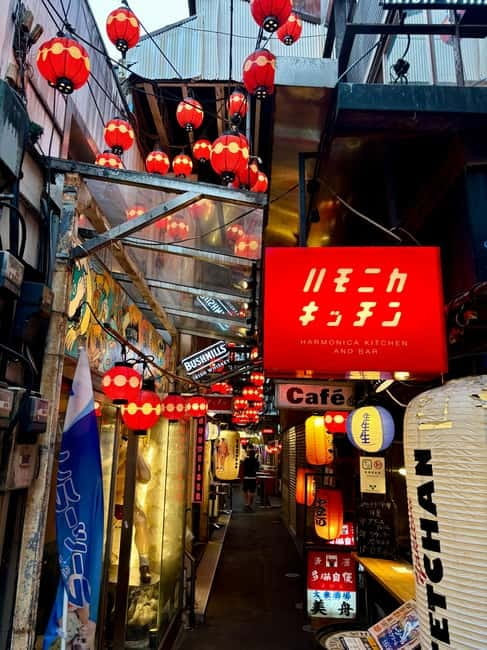Tokyo: Kichijoji Walking Tour with Local Guide - Harmonica Yokocho and the appeal of narrow food lanes