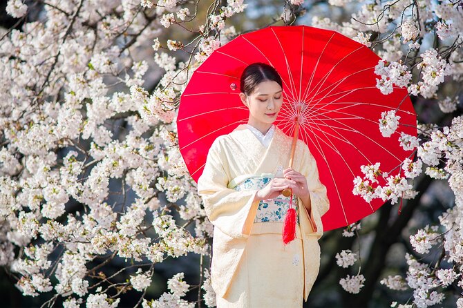 Tokyo: Kimono Experience inside Shinjuku Gyoen National Garden - Group Size and Who Will Enjoy It Most