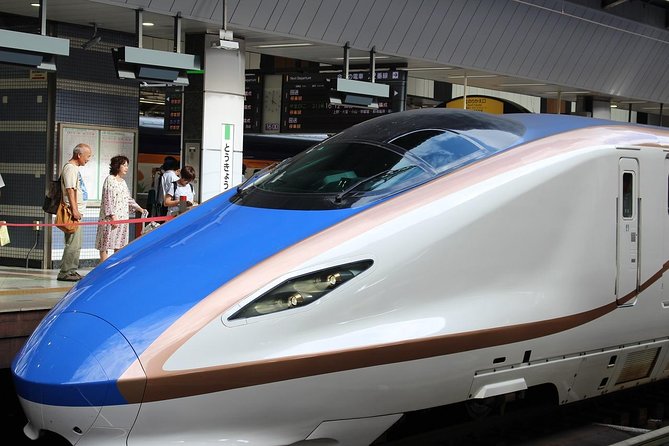 Tokyo Layover Tour with a Local – Private & Tailored to You - Turning a Narita layover into a Tokyo visit