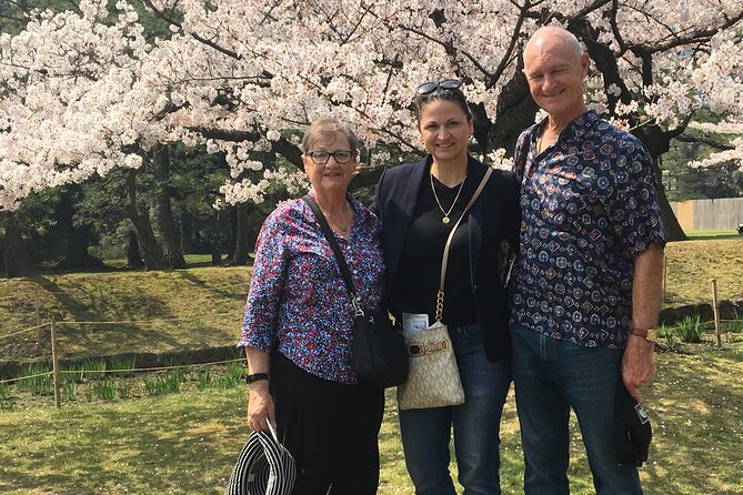 Tokyo Layover Tour with a Local – Private & Tailored to You - Akihabara for anime, games, and family interests