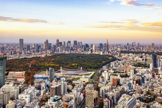 Tokyo Layover Tour with Licensed Guide:Narita Airport Dep - Meeting your guide at Narita Airport