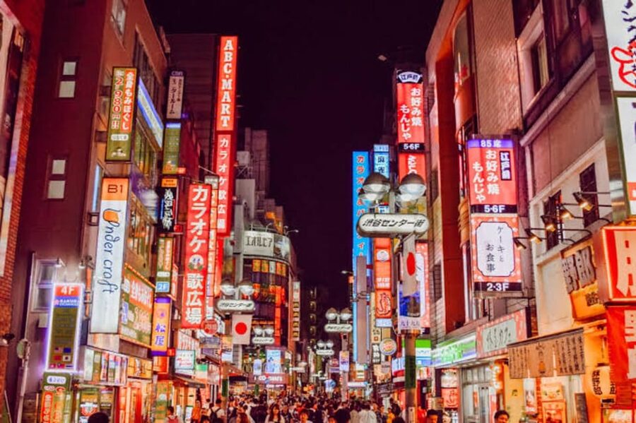 Tokyo:Luxury Private Tour with English-Speaking driver - Key Points Before You Book