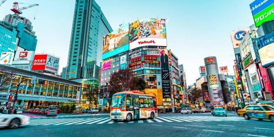Tokyo:Luxury Private Tour with English-Speaking driver - Tsukiji: Start With Tokyo’s Food Culture