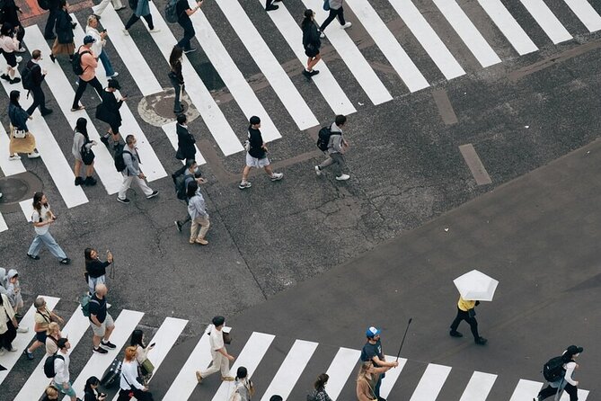 Tokyo Made Easy | Private Chauffeur Day Adventure | Car and Guide - Why a private car makes Tokyo easier