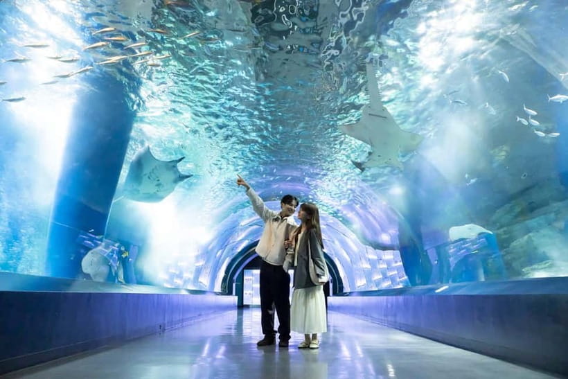 Tokyo: Maxell Aqua Park Shinagawa Direct Entry Ticket - Why This Aquarium Works So Well in Central Tokyo