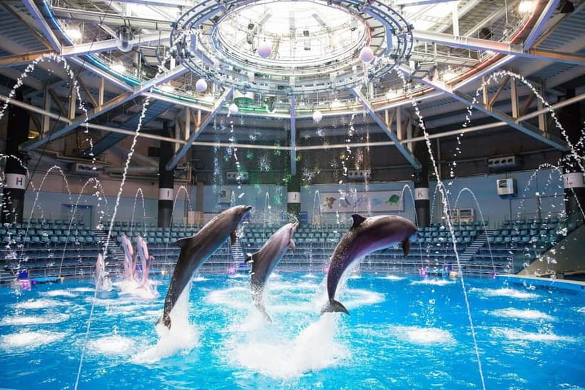 Tokyo: Maxell Aqua Park Shinagawa Direct Entry Ticket - Digital Art and Japan’s Four Seasons