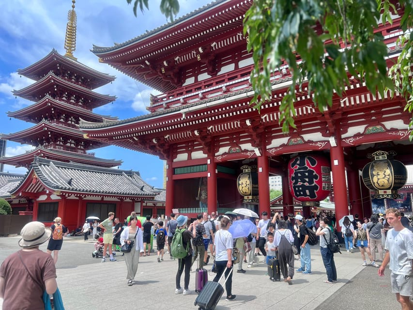 Tokyo: Meiji Jingu Shrine and Shinto Culture Walking Tour - Why Meiji Shrine feels far from Tokyo
