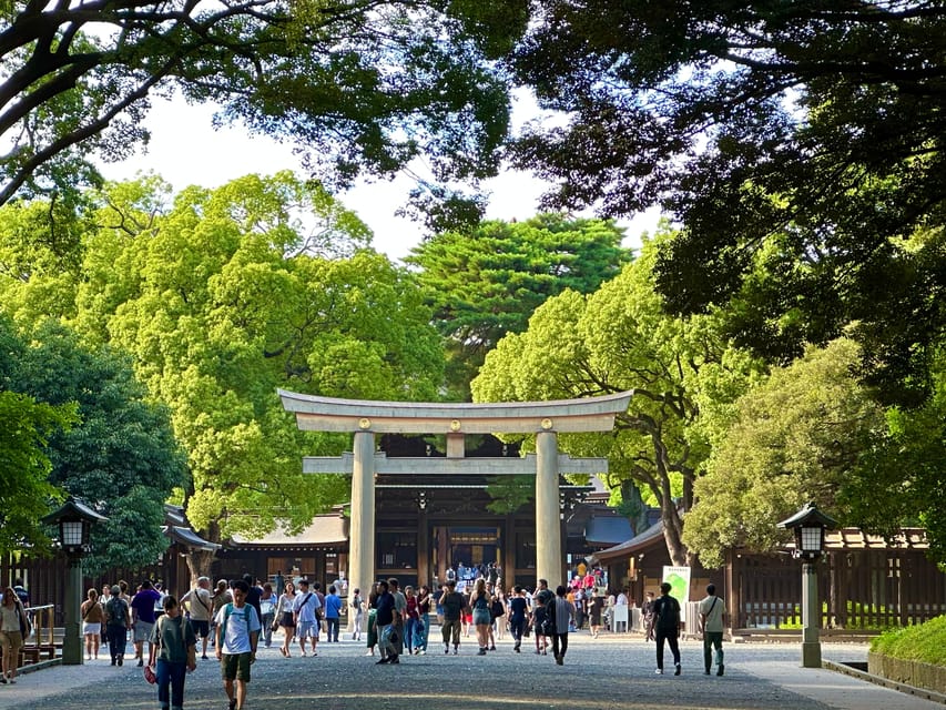 Tokyo: Meiji Jingu Shrine and Shinto Culture Walking Tour - Is two hours enough?