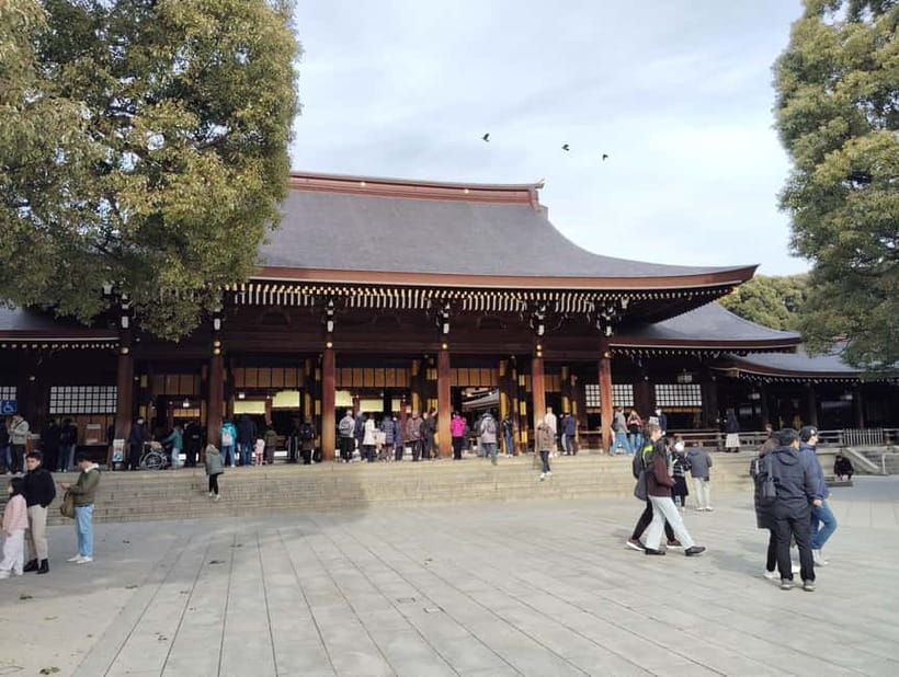 Tokyo: Meiji Jingu Shrine & Inner Garden Guided Tour (2h) - Sake barrels and the meaning of an offering