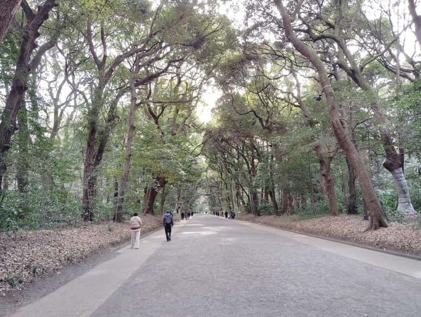 Tokyo: Meiji Jingu Shrine & Inner Garden Guided Tour (2h) - The grand torii and handwashing ritual