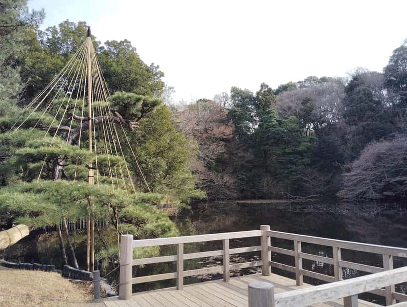 Tokyo: Meiji Jingu Shrine & Inner Garden Guided Tour (2h) - Omikuji, fortune-telling, and protective charms
