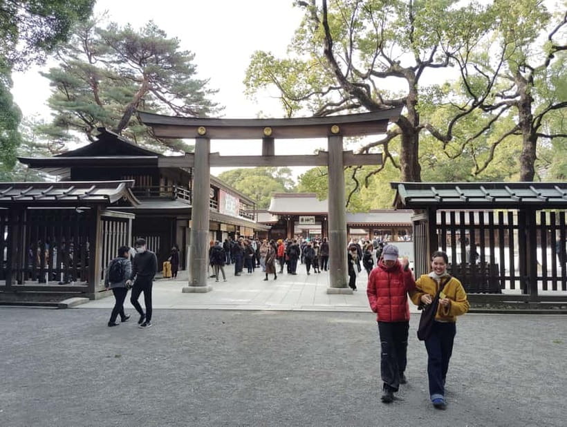 Tokyo: Meiji Jingu Shrine & Inner Garden Guided Tour (2h)