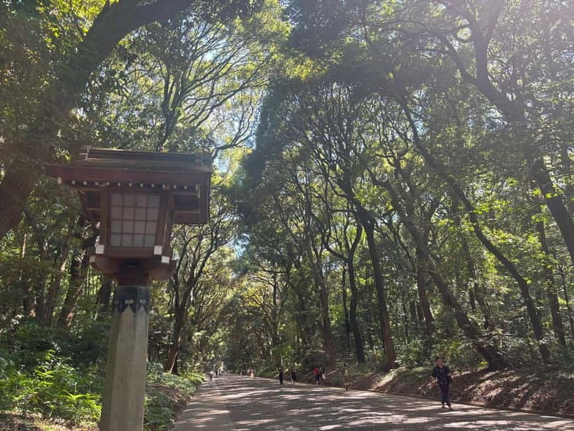 Tokyo: Meiji Jingu, Yoyogi Park & Takeshita Street Tour - Why this Harajuku route works so well
