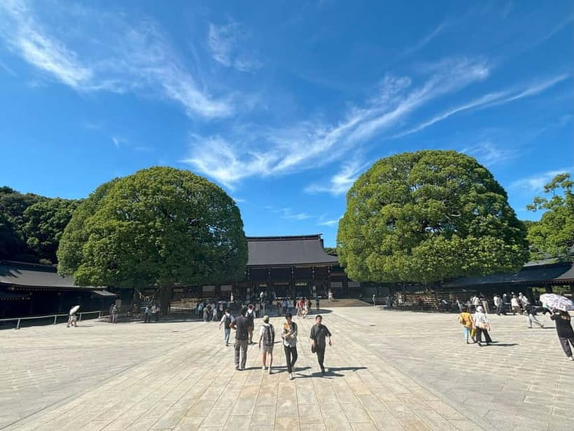 Tokyo: Meiji Jingu, Yoyogi Park & Takeshita Street Tour - A short pause in Yoyogi Park