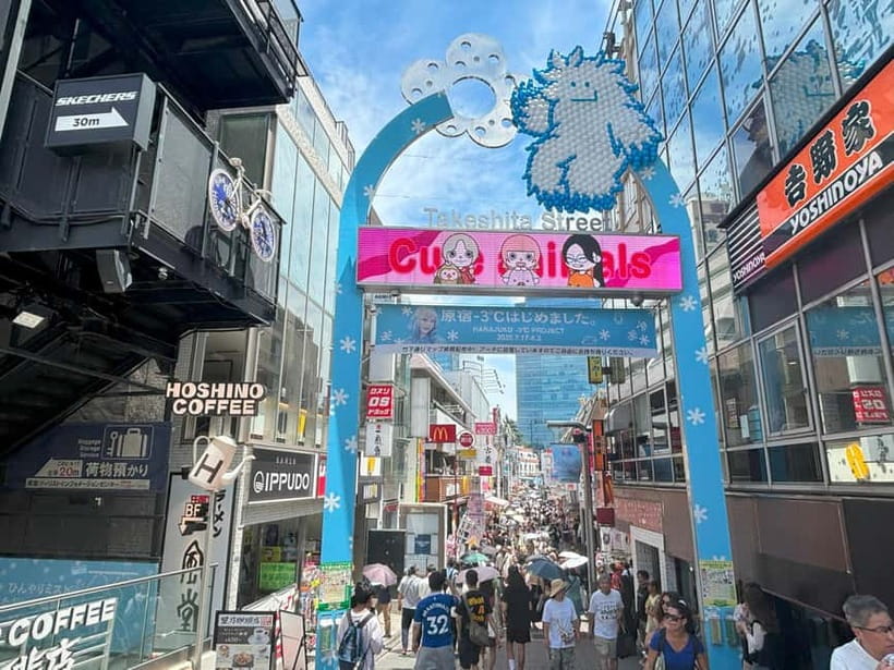 Tokyo: Meiji Jingu, Yoyogi Park & Takeshita Street Tour - Starting at JR Harajuku Station