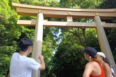 Tokyo: Meiji Shrine and Shinto Culture Walking Tour - Meeting near Harajuku and starting the walk