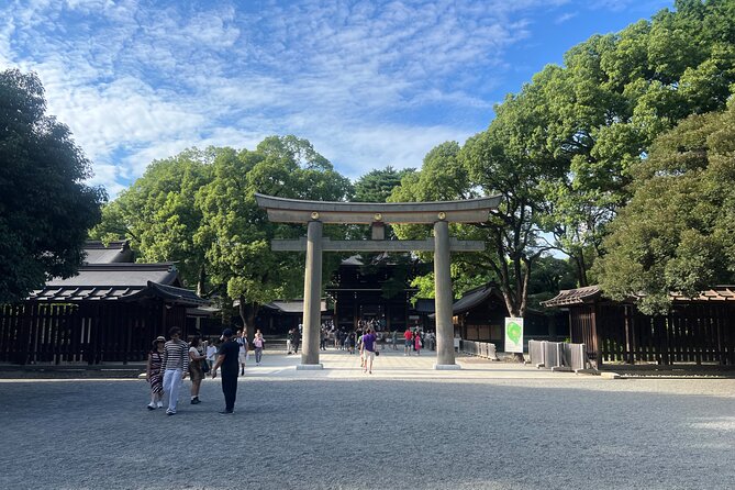 Tokyo: Meiji Shrine and Shinto Culture Walking Tour - Learning the rituals many people miss